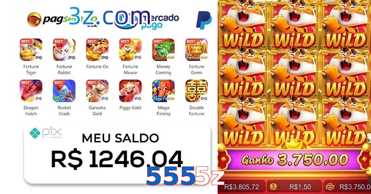 5555z.com